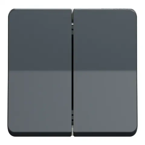 Double va et vient IP55 IK07 - Gris anthracite - Mureva - MUR35019