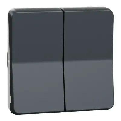 Double va et vient IP55 IK07 - Gris anthracite - Mureva - MUR35019