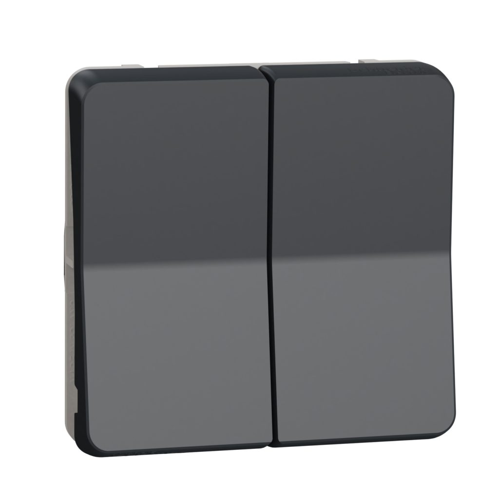 Double va et vient IP55 IK07 - Gris anthracite - Mureva - MUR35019