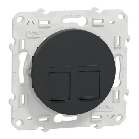 Prise double RJ45 cat.6 UTP - grade 1 à 2 - à vis - anthracite - S540485