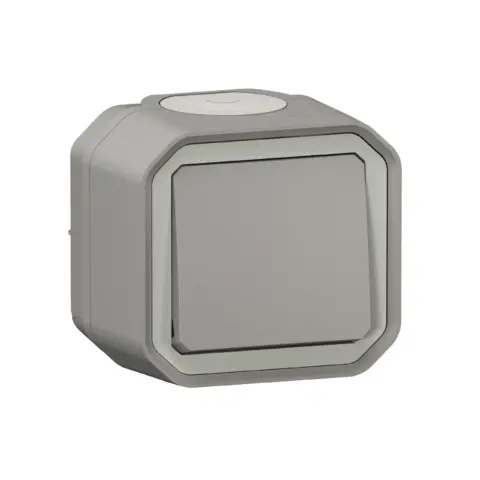 Interrupteur VV 10AX Gris Saillie | LEGRAND -069711L