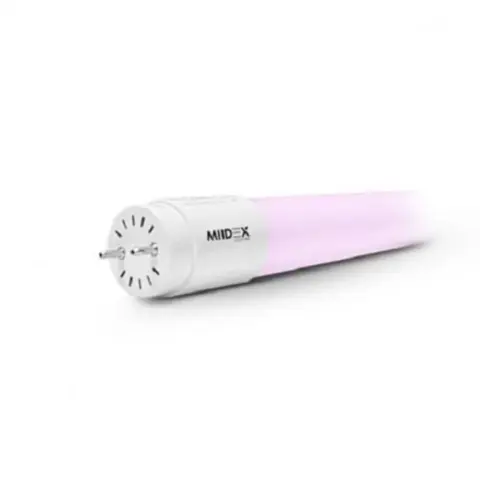 Tube LED T8 18 W phase / neutre même côté rose MIIDEX LIGHTING 759620